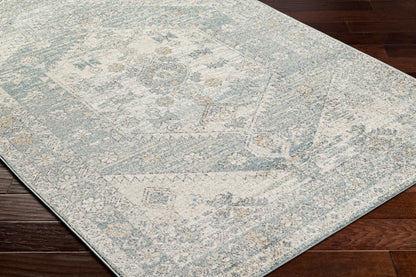 Alpharetta APH-2310 9' x 12' Machine Woven Area Rug