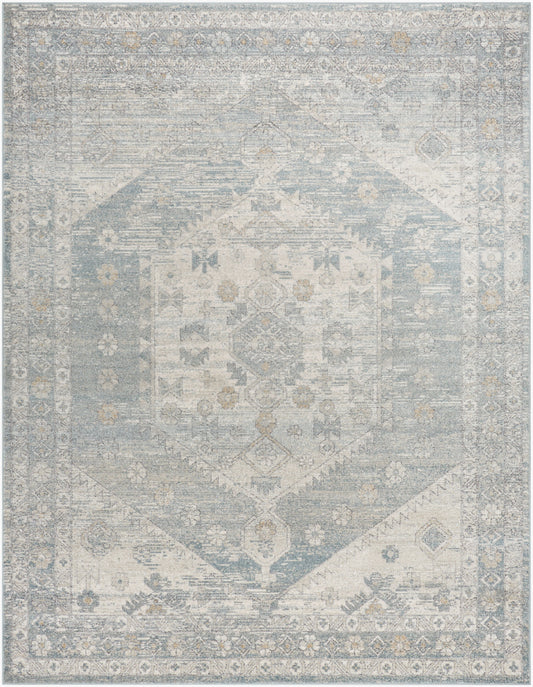 Alpharetta APH-2310 9' x 12' Machine Woven Area Rug