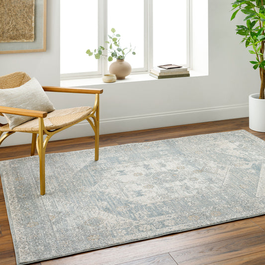 Alpharetta APH-2310 5' x 7' Machine Woven Area Rug