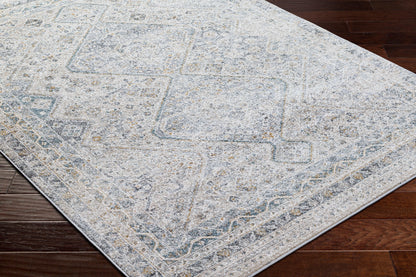 Alpharetta APH-2311 9' x 12' Machine Woven Area Rug