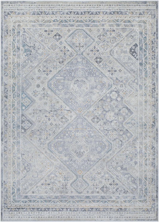 Alpharetta APH-2311 9' x 12' Machine Woven Area Rug