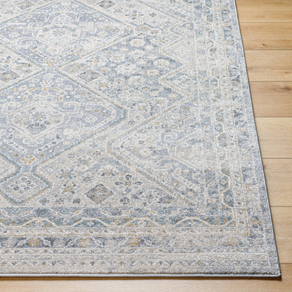 Alpharetta APH-2311 9' x 12' Machine Woven Area Rug