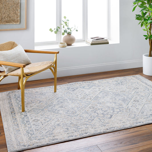 Alpharetta APH-2311 9' x 12' Machine Woven Area Rug