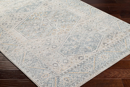 Alpharetta APH-2313 9' x 12' Machine Woven Area Rug
