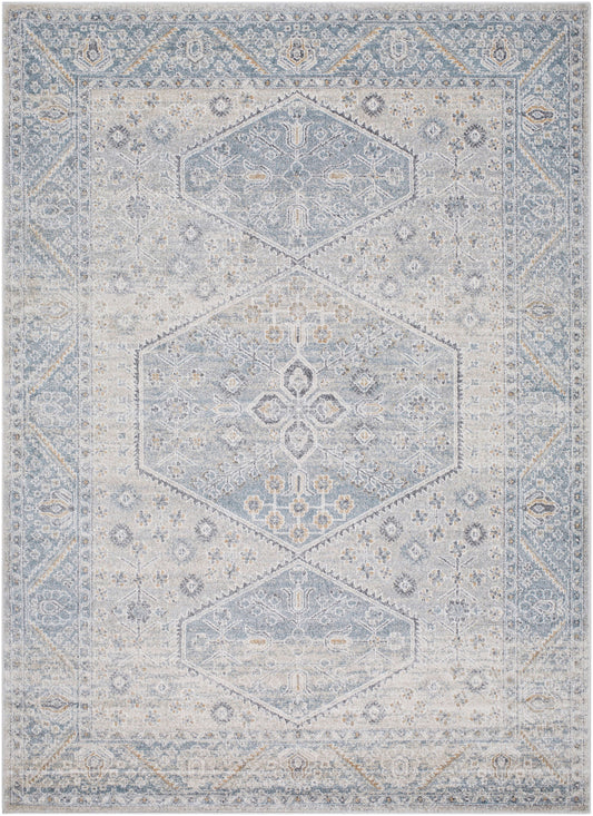 Alpharetta APH-2313 9' x 12' Machine Woven Area Rug