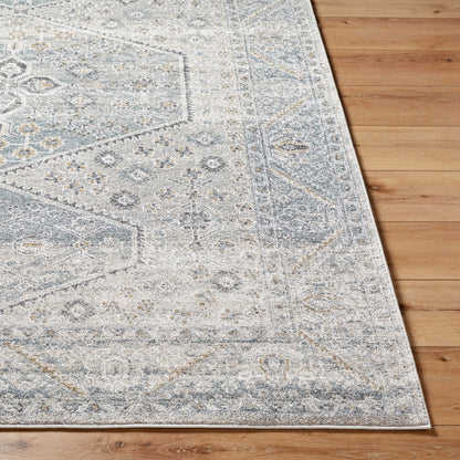 Alpharetta APH-2313 5' x 7' Machine Woven Area Rug