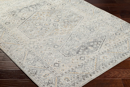 Alpharetta APH-2314 9' x 12' Machine Woven Area Rug