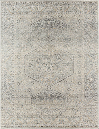 Alpharetta APH-2314 9' x 12' Machine Woven Area Rug