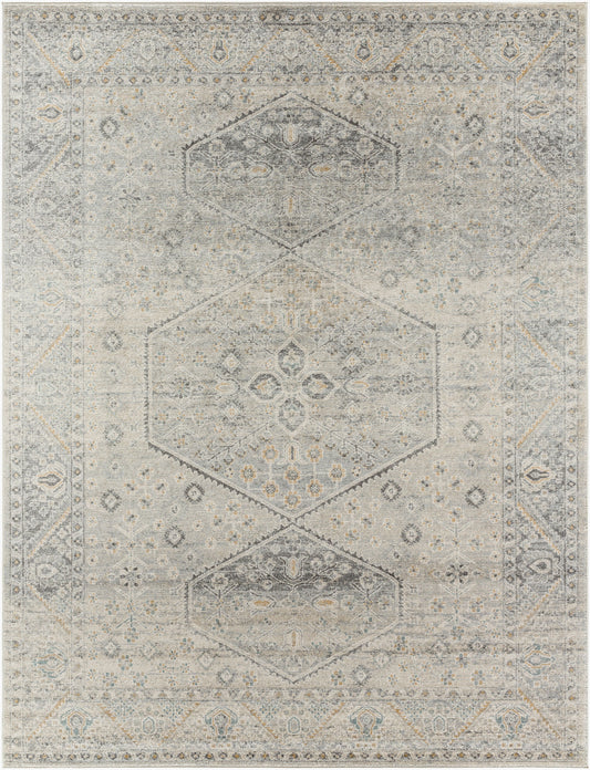 Alpharetta APH-2314 9' x 12' Machine Woven Area Rug