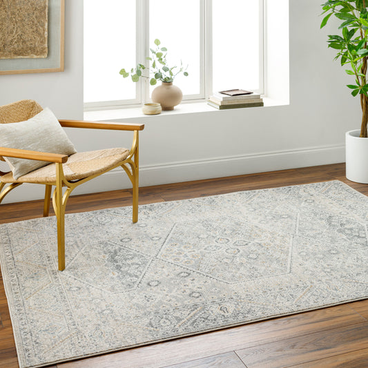 Alpharetta APH-2314 9' x 12' Machine Woven Area Rug