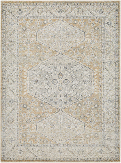 Alpharetta APH-2315 5' x 7' Machine Woven Area Rug