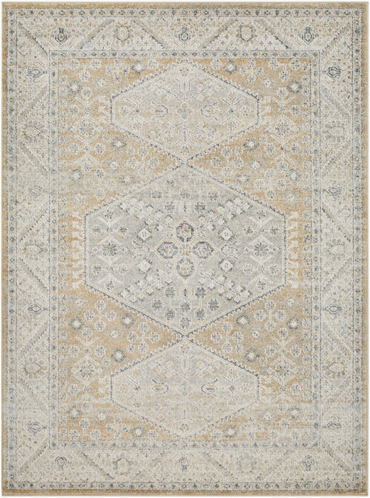 Alpharetta APH-2315 5' x 7' Machine Woven Area Rug