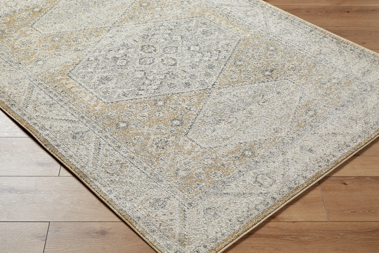 Alpharetta APH-2315 5' x 7' Machine Woven Area Rug
