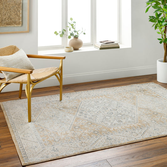 Alpharetta APH-2315 5' x 7' Machine Woven Area Rug