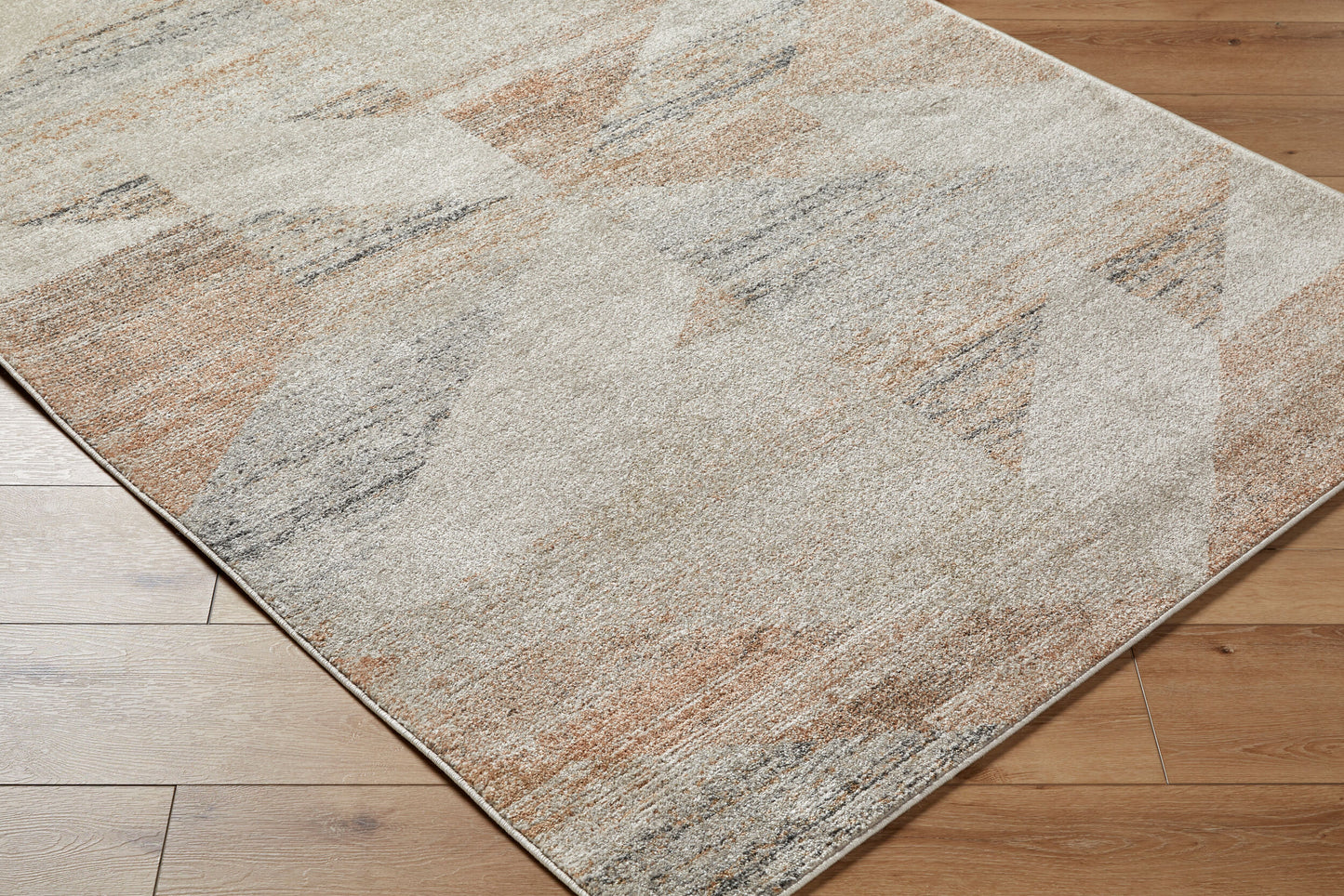 Alpharetta APH-2317 5' x 7' Machine Woven Area Rug