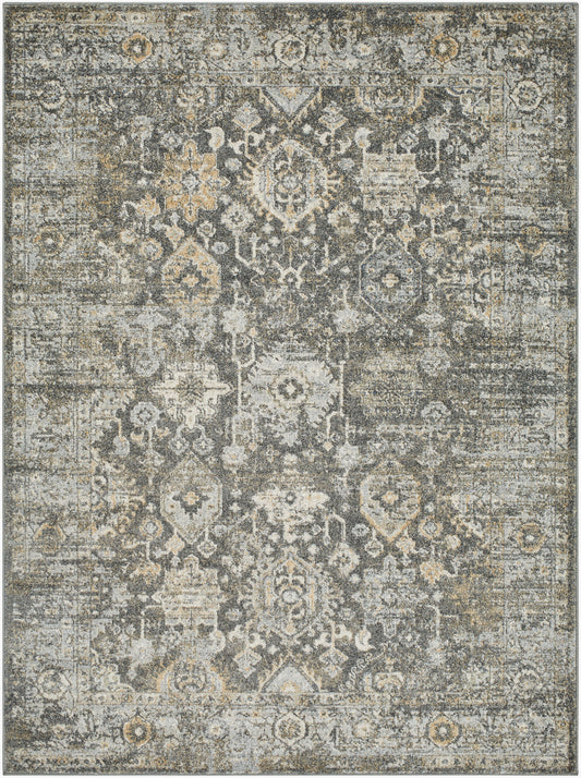 Alpharetta APH-2318 6' x 9' Machine Woven Area Rug