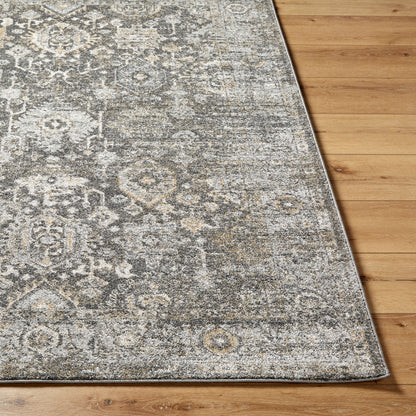 Alpharetta APH-2318 5' x 7' Machine Woven Area Rug