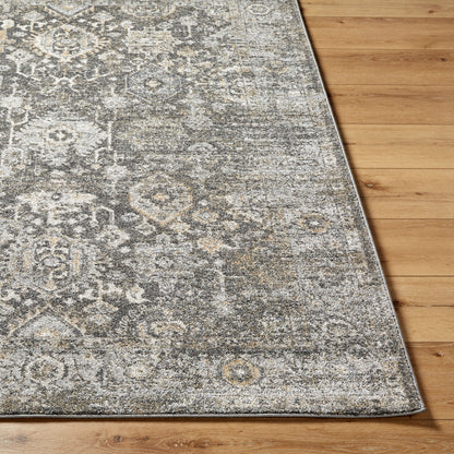 Alpharetta APH-2318 6' x 9' Machine Woven Area Rug