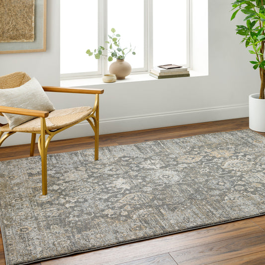 Alpharetta APH-2318 6' x 9' Machine Woven Area Rug