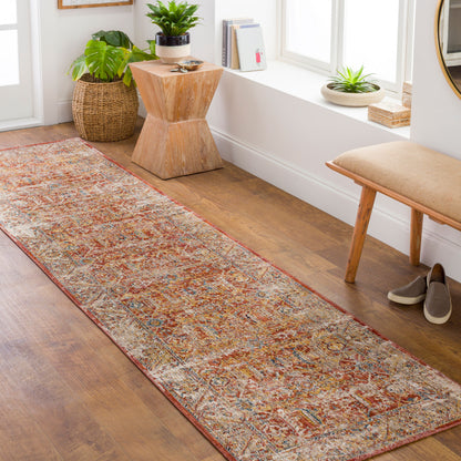 Aspendos APS-2312 10ft Runner Machine Woven Runner Rug