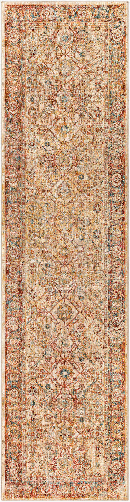 Aspendos APS-2317 10ft Runner Machine Woven Runner Rug