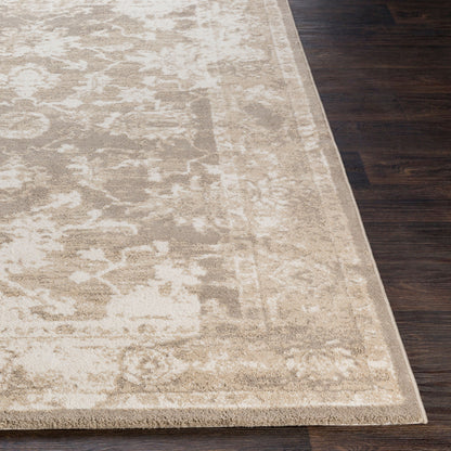 Alfombra decorativa tejida a máquina Apricity APY-1003 de 2' x 3'