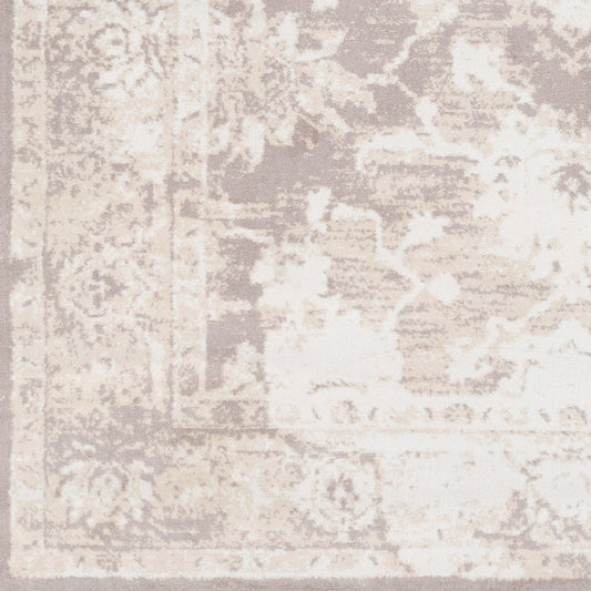 Alfombra decorativa tejida a máquina Apricity APY-1003 de 2' x 3'