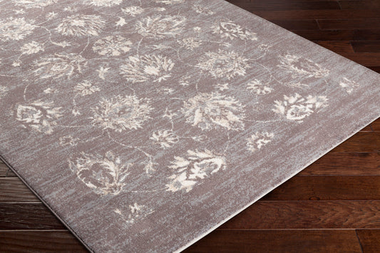 Alfombra decorativa tejida a máquina Apricity APY-1011 de 2' x 3'