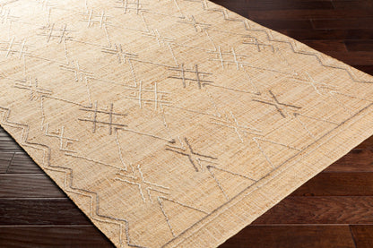 Arielle ARE-2302 Hand Woven Rug