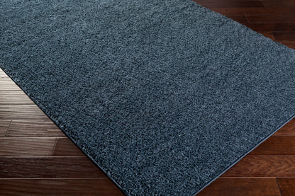 Arlie ARE-9004 4' x 6' Machine Woven Area Rug