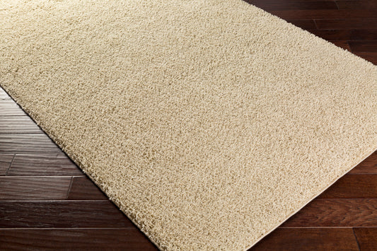 Arlie ARE-9006 4' x 6' Machine Woven Area Rug