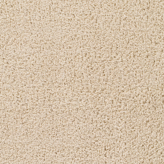 Arlie ARE-9006 4' x 6' Machine Woven Area Rug