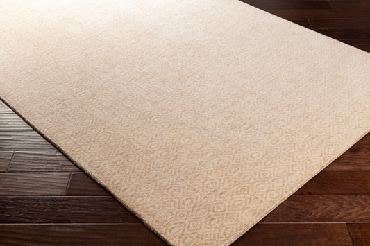 Astara ASA-1002 2' x 3' Handmade Wool Accent Rug