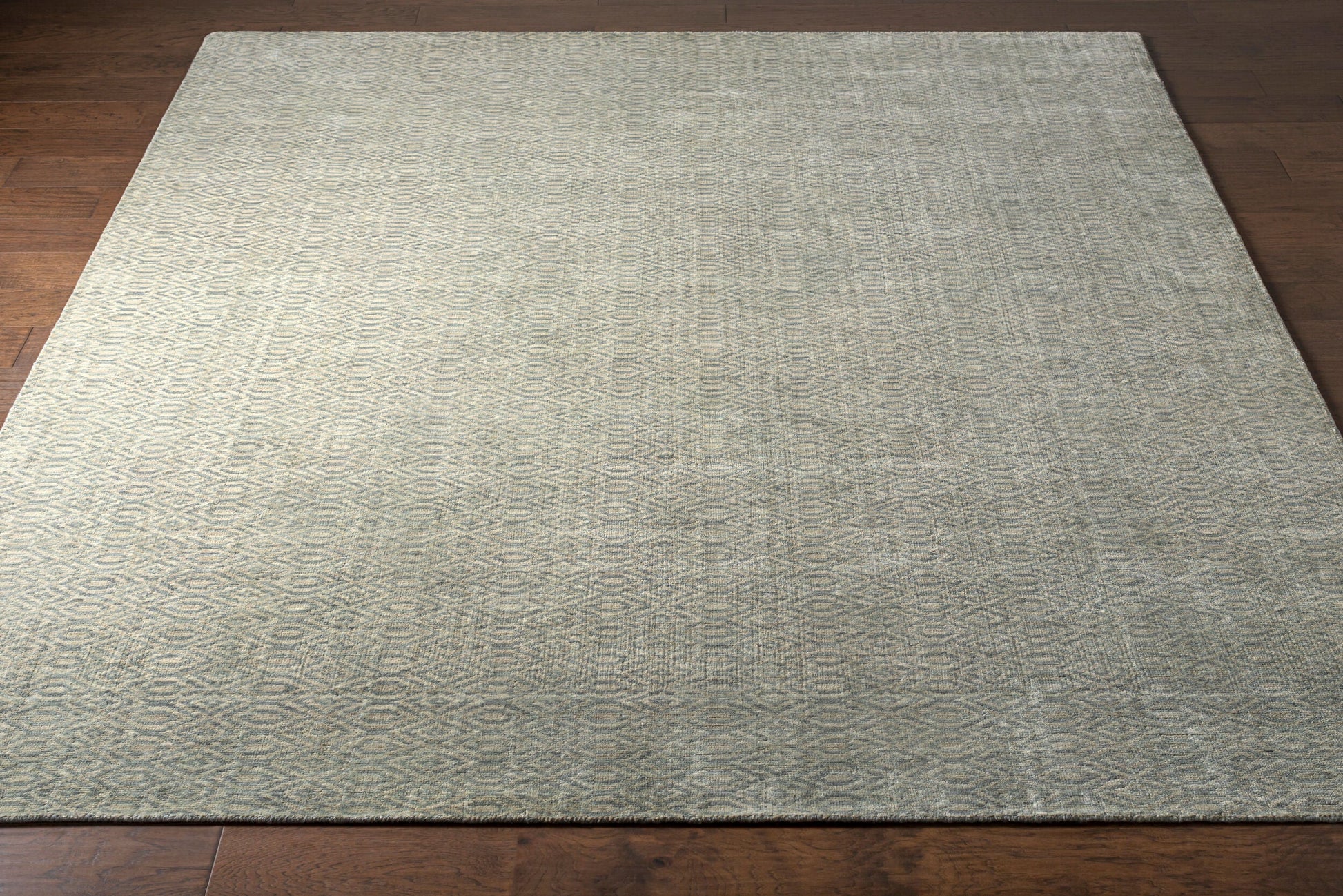 Astara ASA-1004 Hand Loomed Rug