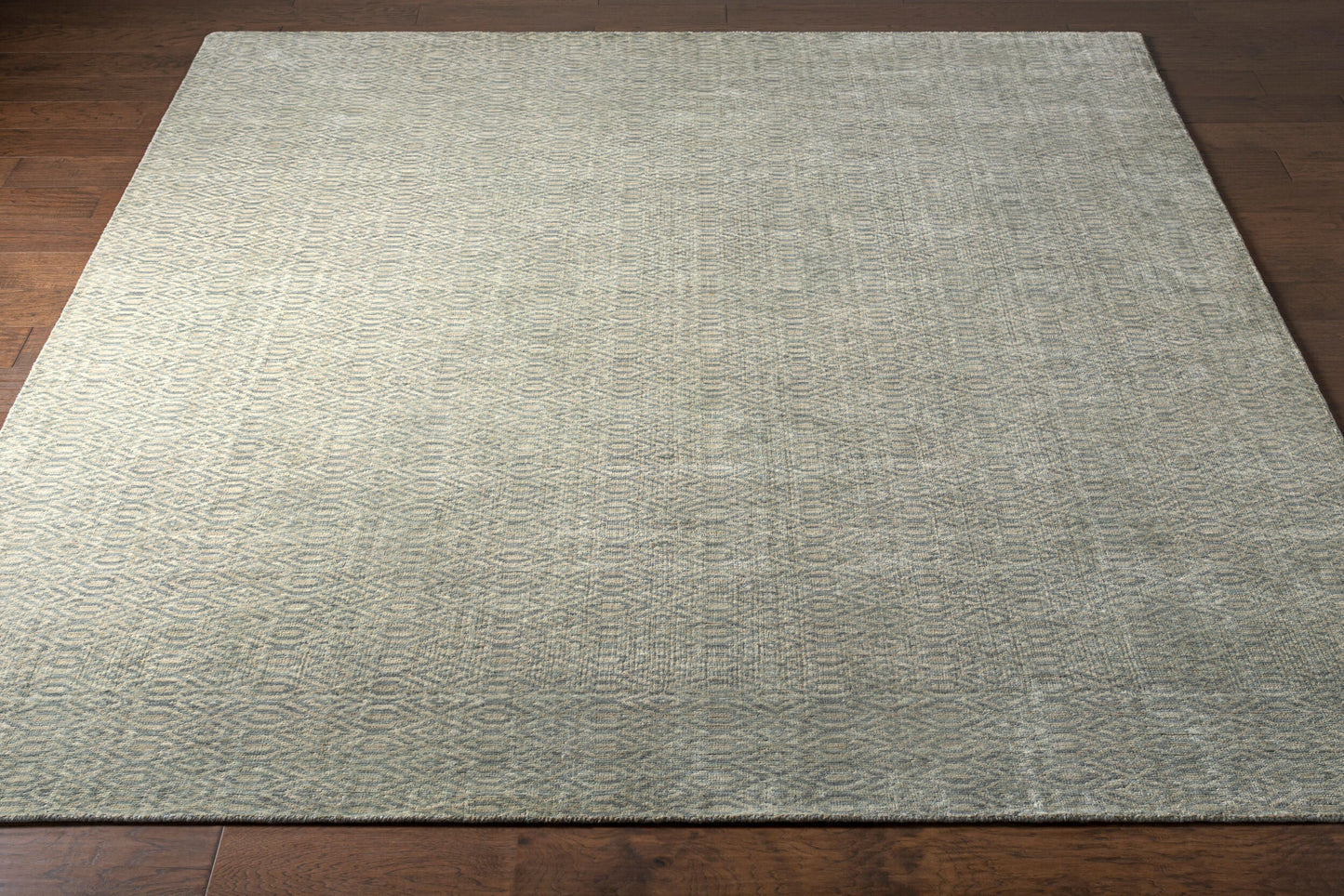 Astara ASA-1004 Hand Loomed Rug