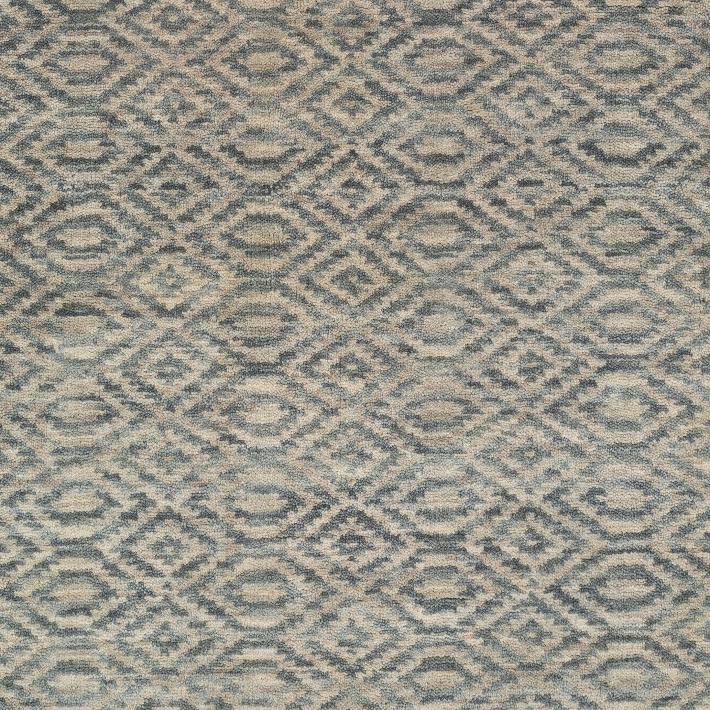 Astara ASA-1004 Hand Loomed Rug