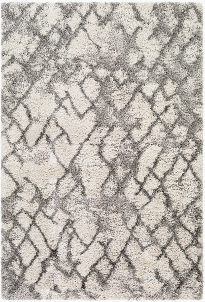 Alfombra decorativa tejida a máquina Alta Shag ASG-2300 de 2' x 3'