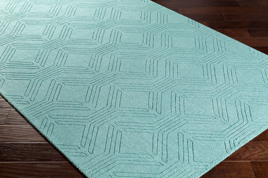 Ashlee ASL-1010 8' x 10' Handmade Wool Area Rug