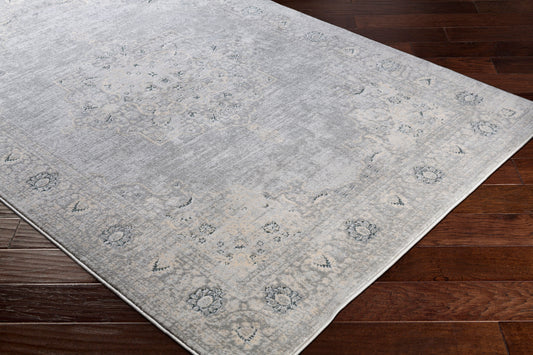 Asia Minor ASM-2309 8' x 10' Machine Woven Area Rug