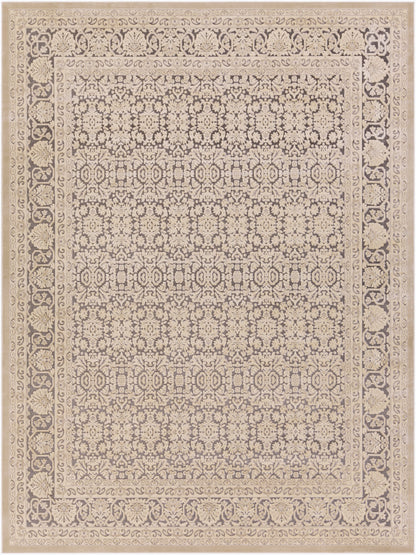 Aesop ASP-2300 7' x 10' Machine Woven Area Rug