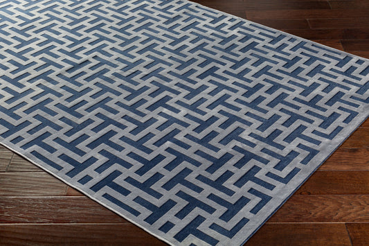 Alfombra decorativa tejida a máquina Aesop ASP-2312 de 2' x 3'