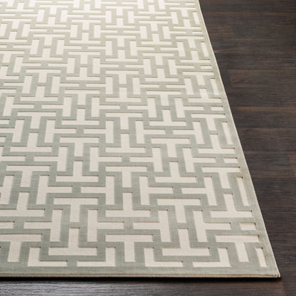 Alfombra decorativa tejida a máquina Aesop ASP-2314 de 2' x 3'