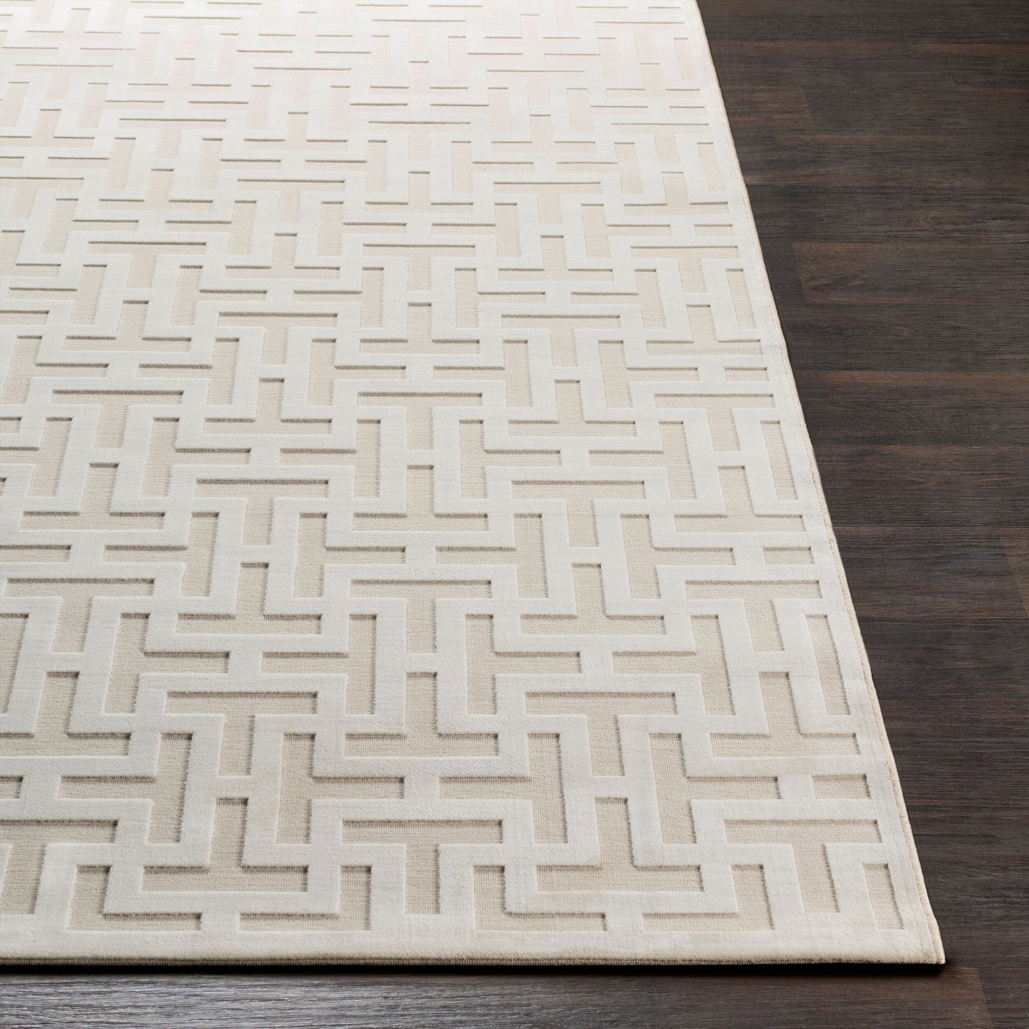 Alfombra tejida a máquina Aesop ASP-2315 de 8' x 10'