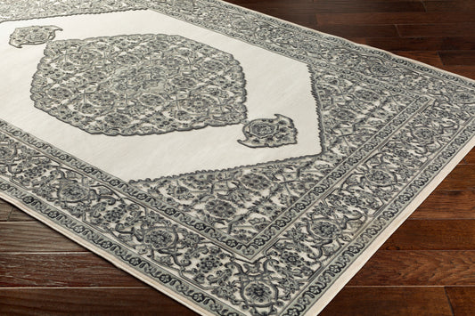 Alfombra tejida a máquina Aesop ASP-2318 de 8' x 10'