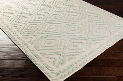Alfombra decorativa de lana hecha a mano Atlas ATS-1007 de 2' x 3'