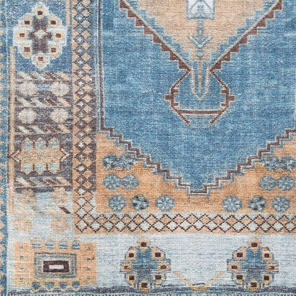 Alfombra de corredor tejida a máquina Antiquity AUY-2301 de 7 pies