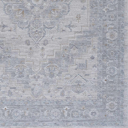 Avant Garde AVT-2302 Machine Woven Rug