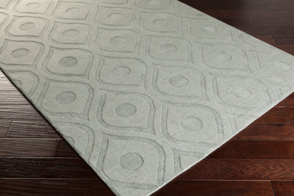Central Park AWHP-4000 4' x 6' Handmade Wool Area Rug