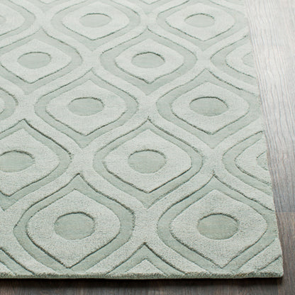 Central Park AWHP-4000 4' x 6' Handmade Wool Area Rug