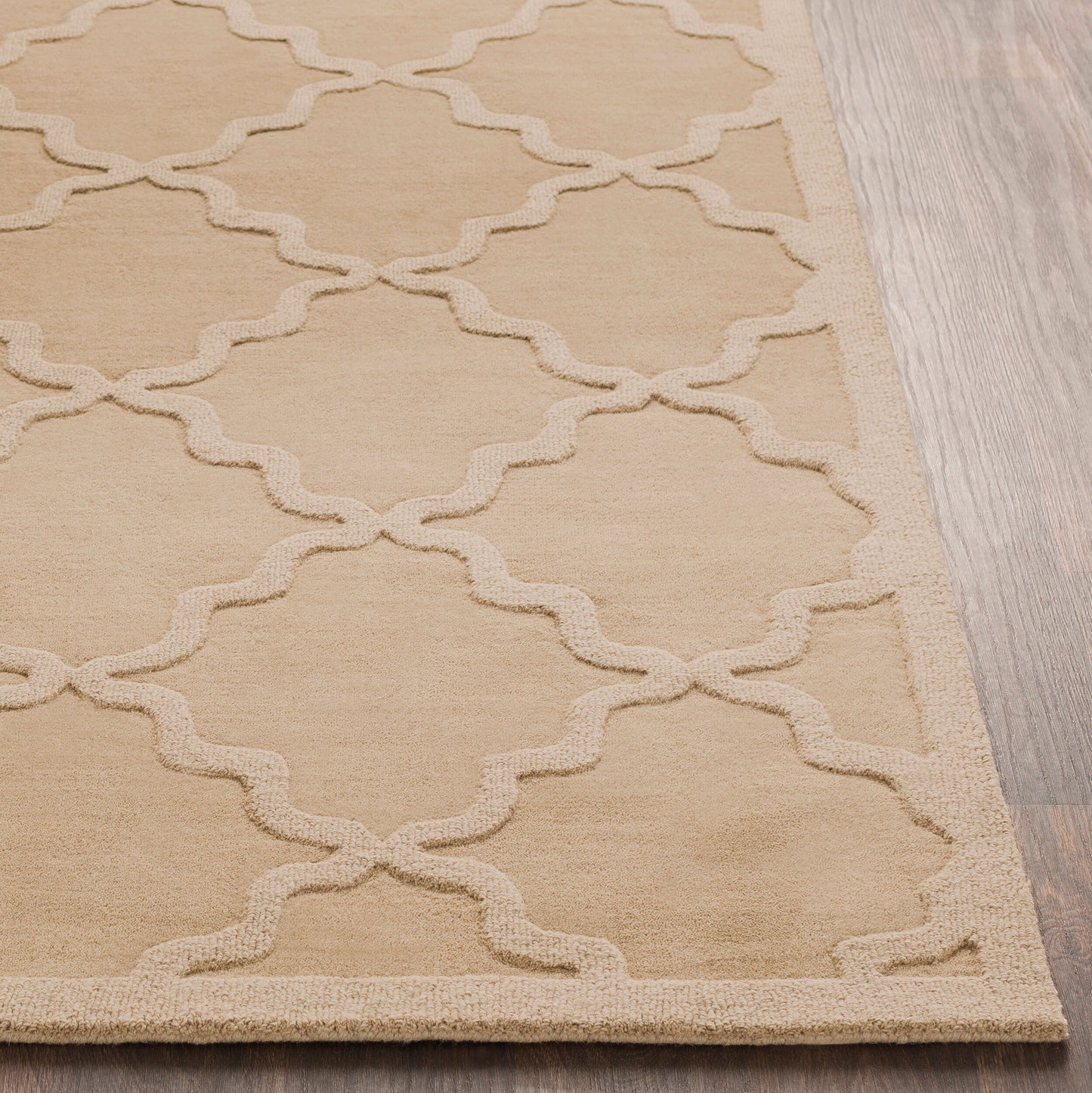 Central Park AWHP-4020 2' x 3' Handmade Wool Accent Rug